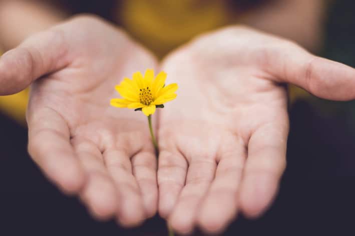 Man sieht nur 2 Hände, die mit der Handfläche nach oben zeigen und aneinandergehalten werden. Dazwischen ist eine gelbe Blume eingeklemmt.