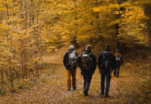Menschen mit Rucksäcken, die im Wald spazieren gehen. Die Blätter der Bäume sind gelb und viele Blätter leigen auch auf dem Boden.